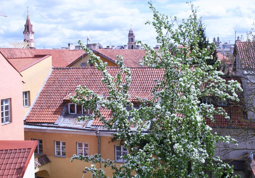 Old Town Apartment Antokolskio VNO Exterior foto
